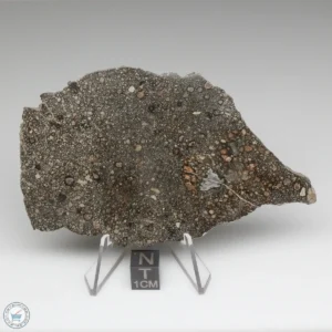 Nagjir 001 CV3 Meteorite 23.8g