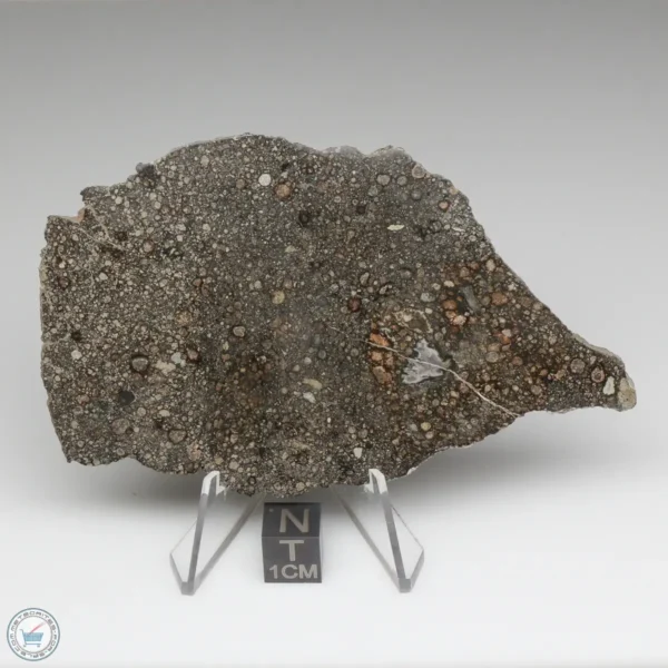 Nagjir 001 CV3 Meteorite 23.8g