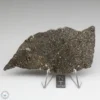 Nagjir 001 CV3 Meteorite 18.8g