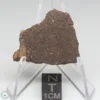 NWA 10828 Meteorite 11.3g