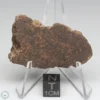 NWA 10828 Meteorite 16.5g