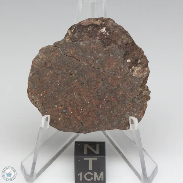 NWA 10828 Meteorite 15.1g