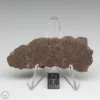 NWA 10828 Meteorite 28.0g