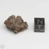 NWA 10828 Meteorite 5.7g