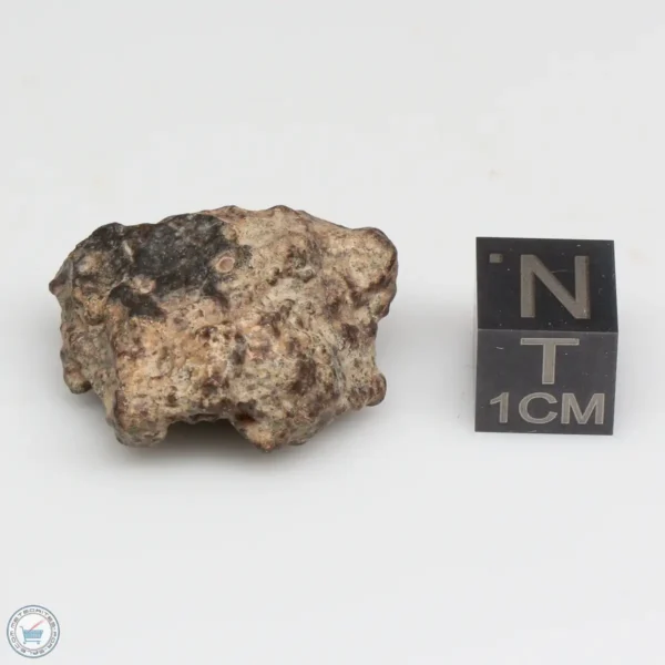 NWA 10828 Meteorite 9.3g