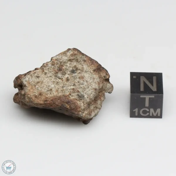 NWA 10828 Meteorite 15.9g