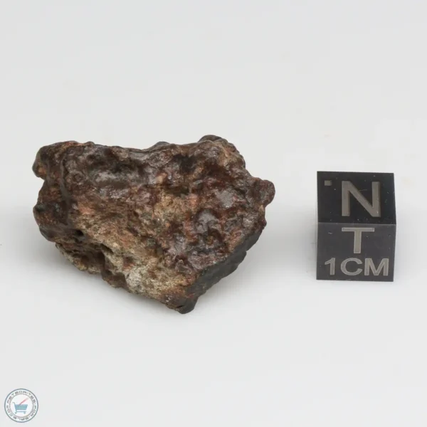 NWA 10828 Meteorite 15.9g