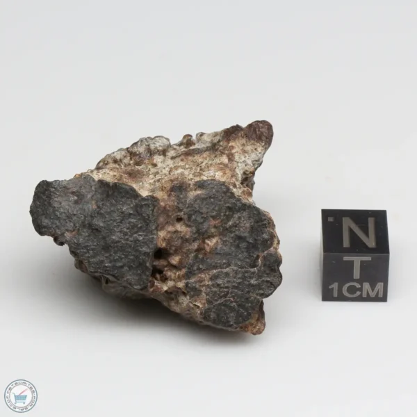 NWA 10828 Meteorite 35.2g