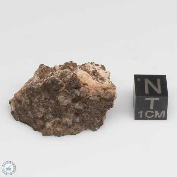 NWA 10828 Meteorite 17.2g