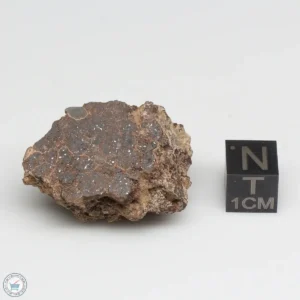 NWA 10828 Meteorite 17.2g