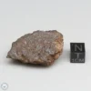 NWA 10828 Meteorite 27.0g End Cut