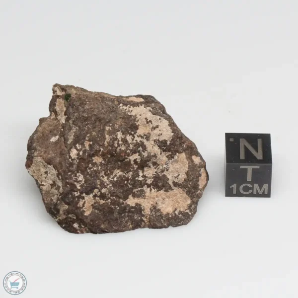 NWA 10828 Meteorite 27.0g End Cut (Copy)