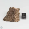 NWA 10828 Meteorite 29.7g End Cut