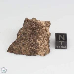 NWA 10828 Meteorite 29.7g End Cut