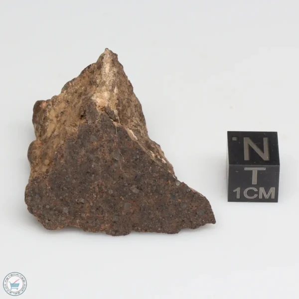 NWA 10828 Meteorite 29.7g End Cut