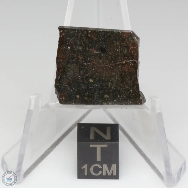 NWA 11721 Meteorite 3.8g