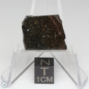 NWA 11721 Meteorite 3.7g