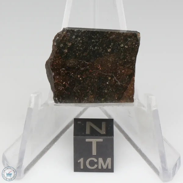 NWA 11721 Meteorite 4.4g