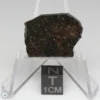 NWA 11721 Meteorite 5.3g