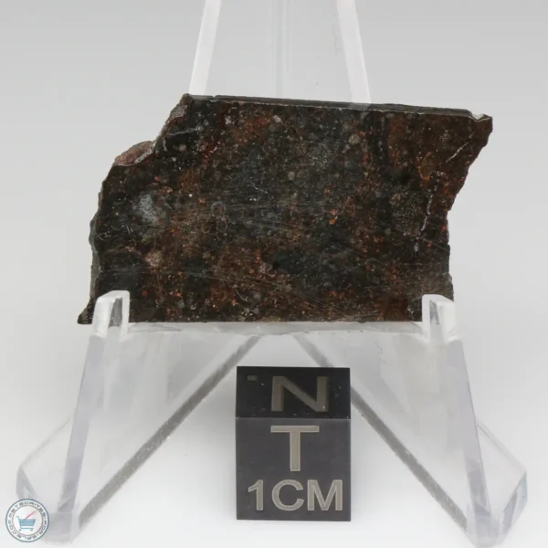 NWA 11721 Meteorite 5.9g