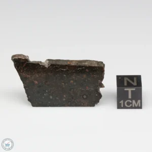 NWA 11721 Meteorite 10.8g Part End Cut