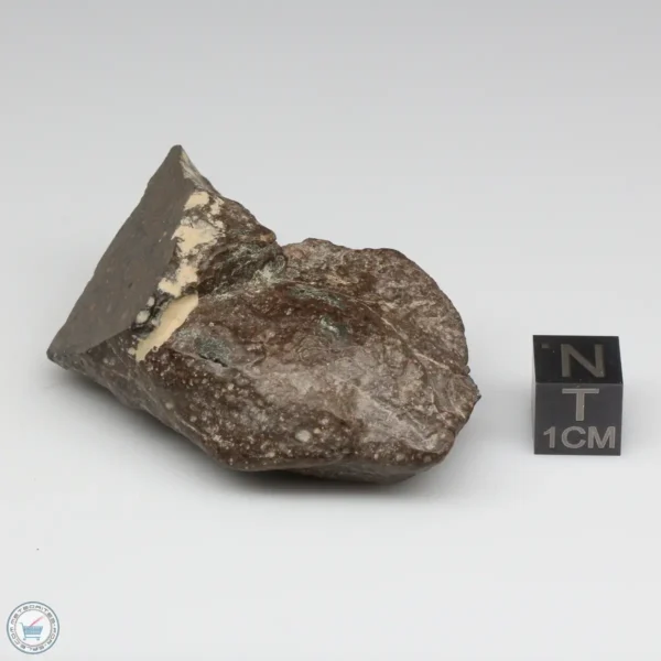 NWA 11721 Meteorite 53.9g Windowed