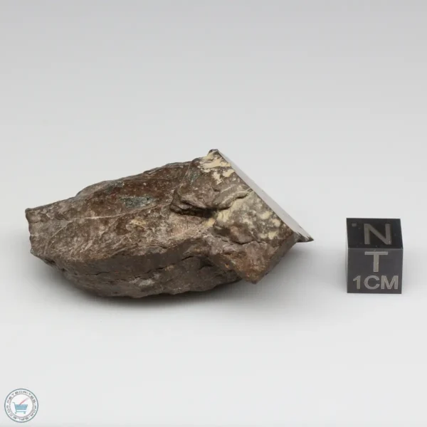 NWA 11721 Meteorite 53.9g Windowed