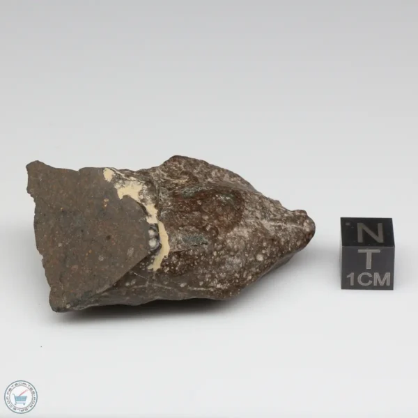 NWA 11721 Meteorite 53.9g Windowed