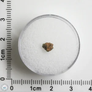 NWA 12241 Martian Meteorite 0.08g Fragment