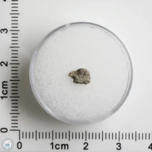 NWA 12241 Martian Meteorite 0.09g Fragment