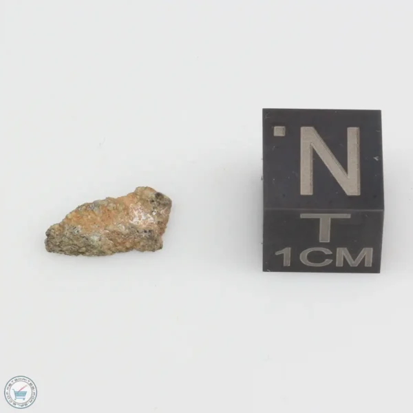 NWA 12241 Martian Meteorite 0.23g End Cut