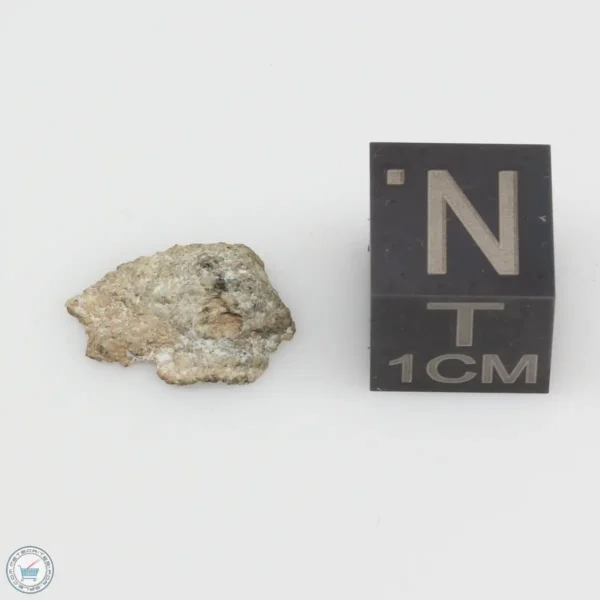 NWA 12241 Martian Meteorite 0.41g End Cut