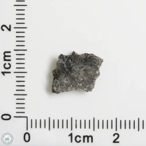 NWA 12269 (Paired) Martian Meteorite 0.42g