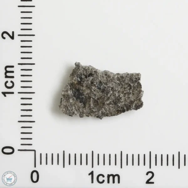 NWA 12269 (Paired) Martian Meteorite 0.47g