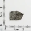 NWA 12269 (Paired) Martian Meteorite 0.61g