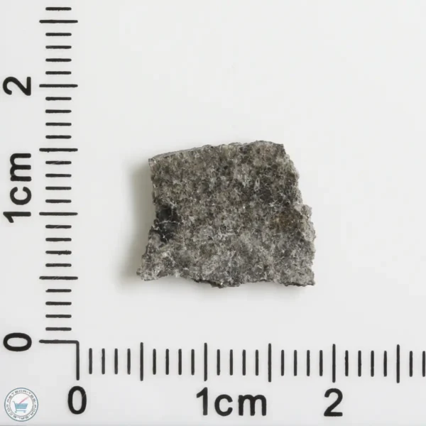 NWA 12269 (Paired) Martian Meteorite 0.63g