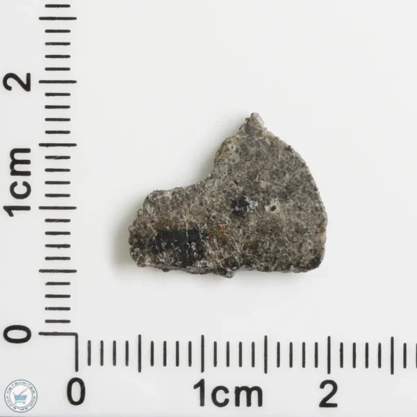 NWA 12269 (Paired) Martian Meteorite 0.66g