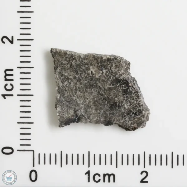 NWA 12269 (Paired) Martian Meteorite 0.98g