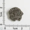 NWA 12269 (Paired) Martian Meteorite 1.18g End Cut