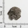 NWA 12269 (Paired) Martian Meteorite 1.18g End Cut