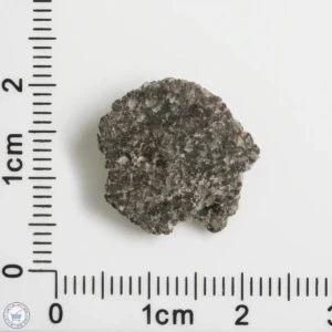 NWA 12269 (Paired) Martian Meteorite 1.18g End Cut