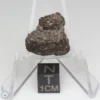 NWA 1465 Meteorite 2.8g End Cut