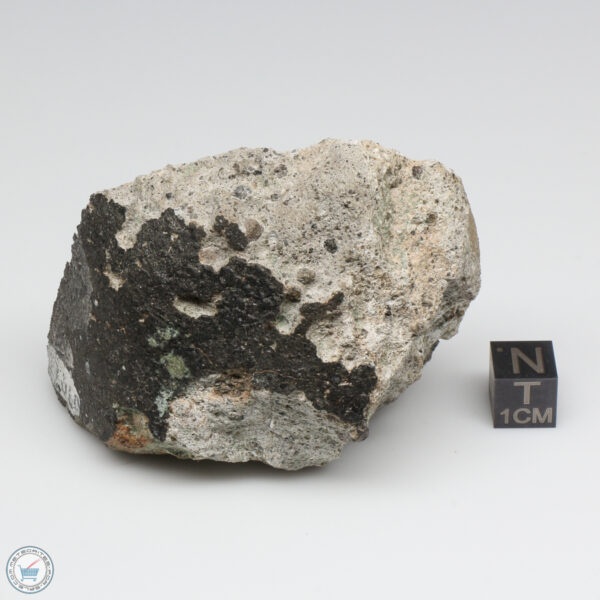 NWA 2060 Howardite Meteorite 141.9g End Cut