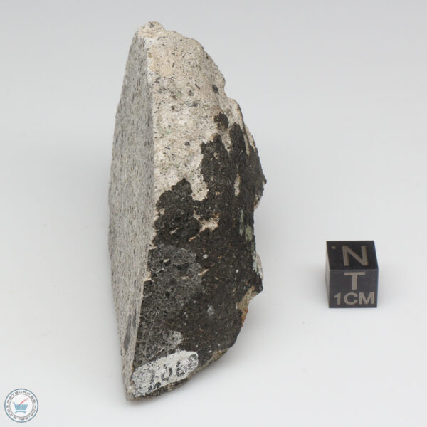 NWA 2060 Howardite Meteorite 141.9g End Cut