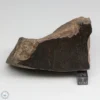 NWA 6947 Meteorite 441g End Cut