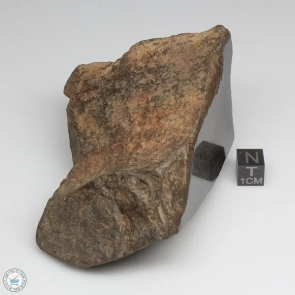 NWA 6947 Meteorite 441g End Cut