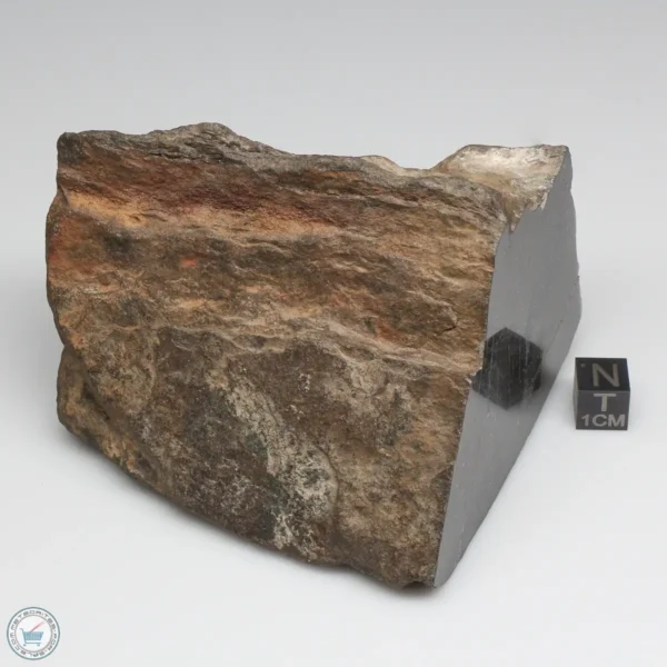 NWA 6947 Meteorite 750g End Cut