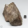 NWA 6947 Meteorite 750g End Cut