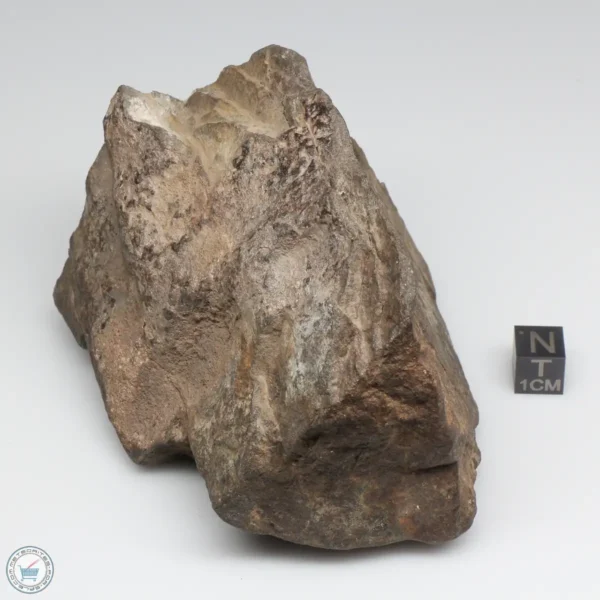 NWA 6947 Meteorite 750g End Cut