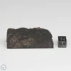 NWA 775 Meteorite 51.7g Part End Cut